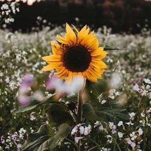 Meet your Posher, Angelica